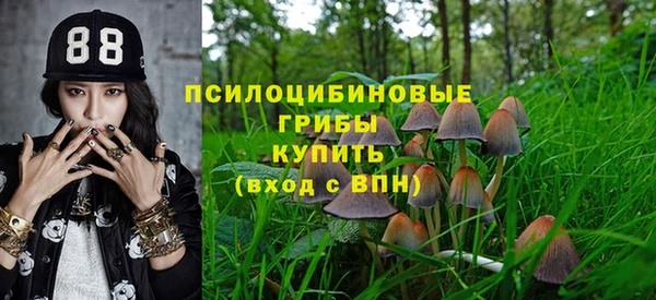 прущие крисы Армянск