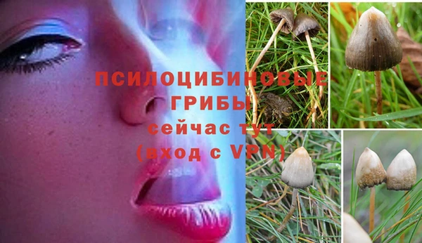 jwh Покачи