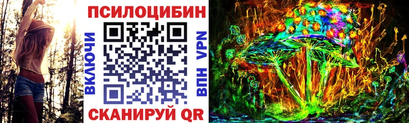 Псилоцибиновые грибы Psilocybe  Макарьев 